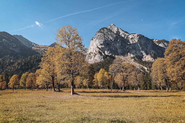 Hinterriss Ahornbaeume Herbst